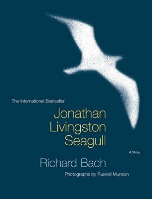 Jonathan Livingston Seagull: A Metaphorical Journey of Self-Discovery and Transcendence Through Flight!